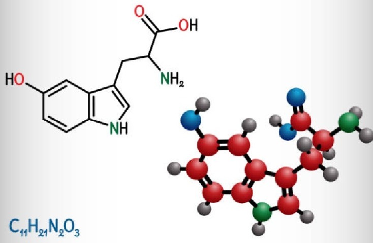 5-HTP ingredient in Yu Sleep sleep formula